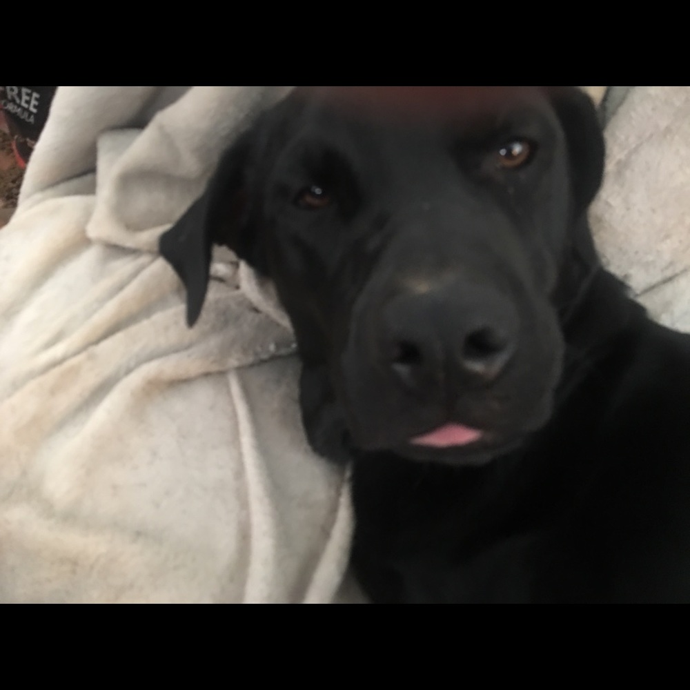 Meet your Posher, Jo